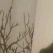 Profile Picture of Blake MacKenzie (@blakemackenzie7704) on Youtube