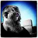 Profile Picture of Brandon Rencheck (@brandonrencheck) on Pinterest