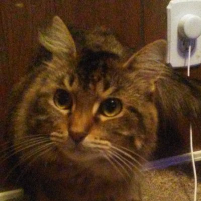 Profile Picture of Trevor OPEM#185 (@FizzSSB) on Twitter