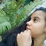 Profile Picture of amanda lorrany sarafim santana (@amandalorranysarafim) on Instagram