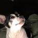 Profile Picture of Sheila Maness (@shrila.maness) on Facebook