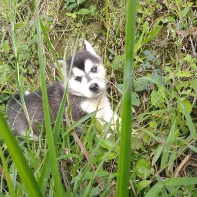 Profile Picture of Alexander Avendaño Rúa (@RuaAvendano) on Twitter