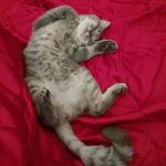 Profile Picture of Gina.TheQuirky (@gina.thequirky) on Instagram