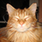 Profile Picture of Matthias Pannek (@pannek) on Flickr