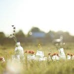 Profile Picture of Randall Meier (@randallmeier) on Instagram