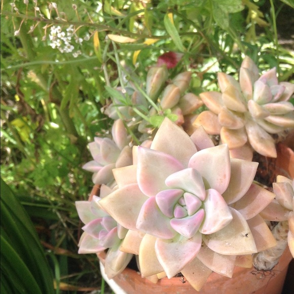 Profile Picture of Erin Hilgert (@erinmeadow) on Poshmark