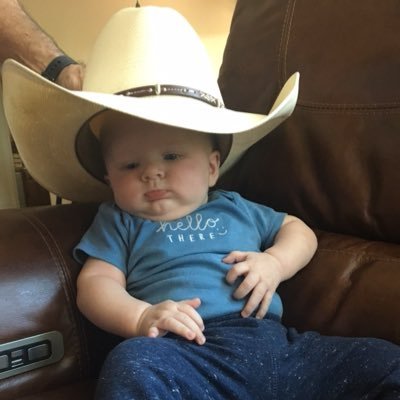 Profile Picture of Nate Fey (@NateFey) on Twitter
