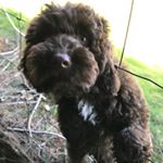 Profile Picture of Blake floyd (@floydy17_) on Instagram