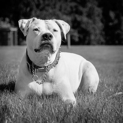 Profile Picture of Joshua Magruder (@oxyroxy79) on Twitter