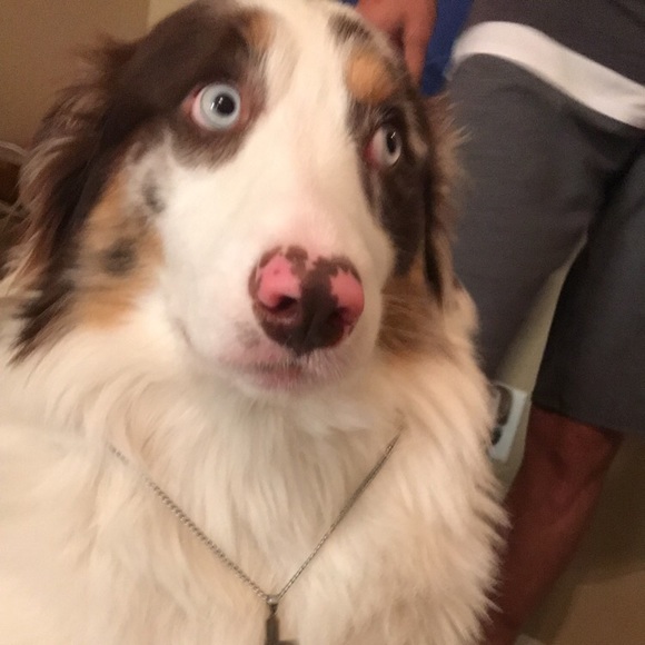 Profile Picture of Vaughn Garrett (@vgarrett21) on Poshmark