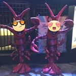 Profile Picture of Michael Caifano (@mccaifano) on Instagram