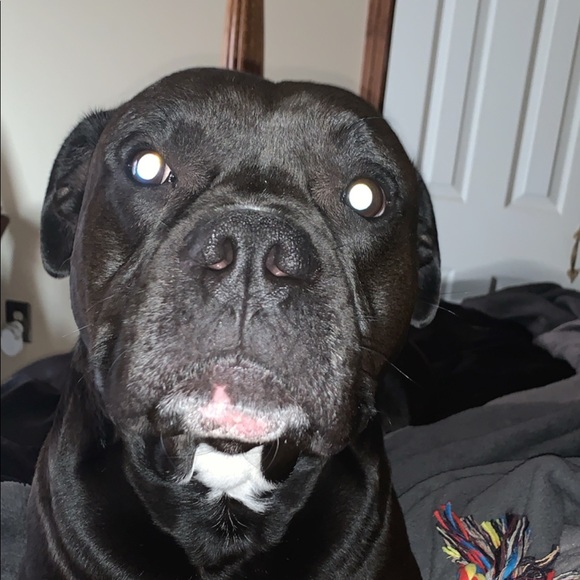 Profile Picture of Steven Hagan (@stevenhagan234) on Poshmark