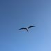Profile Picture of David Penner (@david.penner.5458) on Facebook