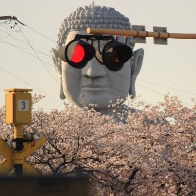 Profile Picture of Mins Nims (@dillon_j_wu) on Twitter