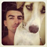 Profile Picture of Kyle Digby (@kdigby) on Instagram