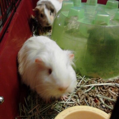 Brian Buis - Twitter Profile Picture of Brian Buis (@BrianBuis) on Twitter