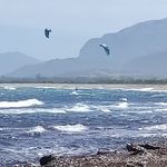 Profile Picture of Maria Giovanna Depalmas (@depalmasmaria) on Instagram