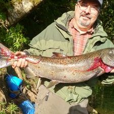 Profile Picture of Chris Candelaria (@Chrisc995) on Twitter