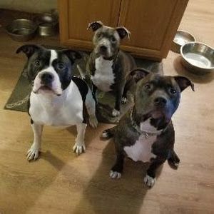 Profile Picture of rib (@robertdauenhauer5) on Tiktok