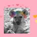 Profile Picture of Raymond Dobson (@edobson081) on Pinterest