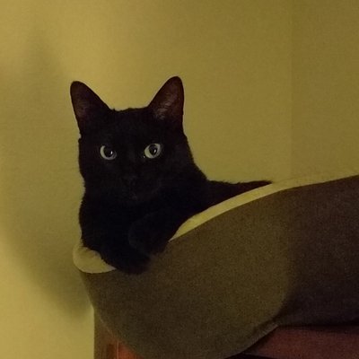 Profile Picture of Nathan Coleman (@NathanRColeman) on Twitter