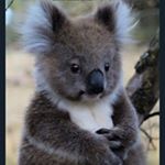 Profile Picture of Nicholas Jenkins (@jenkins_nicholas) on Instagram