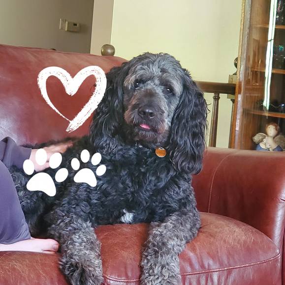 Profile Picture of Amy Hammerstrom (@ahammerstrom) on Poshmark