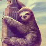 Profile Picture of Chad Seyfried (@chad.seyfried.5) on Facebook