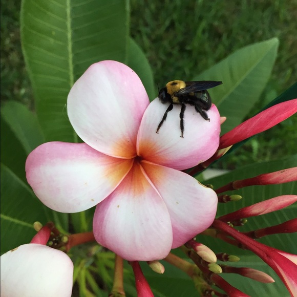 Profile Picture of Zulai Jessel (@aidakeeva) on Poshmark