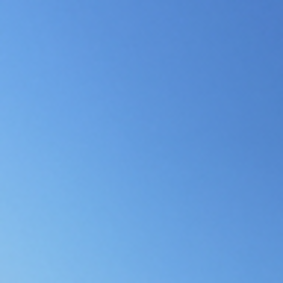 Profile Picture of Ashlee Kerwood (@ashdh88) on Poshmark