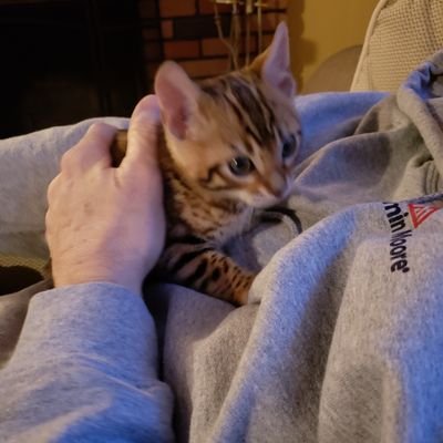 Profile Picture of Janet Donohue (@bentley2018) on Twitter