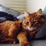 Profile Picture of Wesley Baldwin Reeves (@_westagram) on Instagram