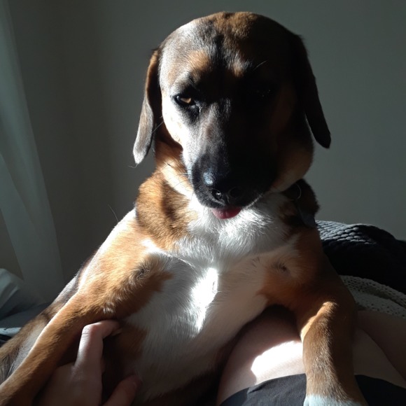 Profile Picture of Alex Haagaard (@uninspiringcrip) on Poshmark