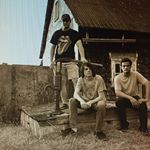 Profile Picture of Darcy (@darcy_chapman) on Instagram