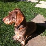 Profile Picture of Malcoiffe 🇫🇷 (@vmalcoiffe) on Instagram