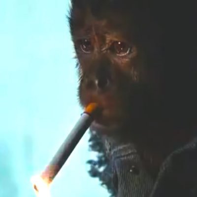 Profile Picture of Seth McCray (@s00n3rfan) on Twitter
