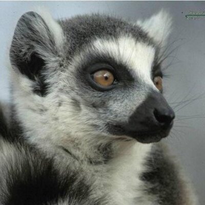 Profile Picture of Eric (@Eric_de_Troyer) on Twitter