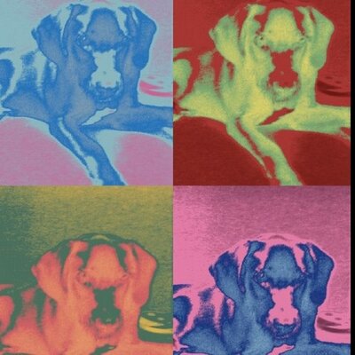 Profile Picture of Mary Shannon Stubbs (@StubMuffin89) on Twitter