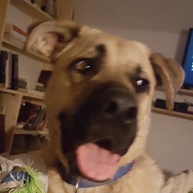 Profile Picture of Grant Dee (@Grant_Davis204) on Twitter