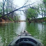 Profile Picture of David Heishman (@heishmandavid) on Instagram