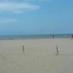 Profile Picture of Michael J. Kory (@michael.kory) on Instagram