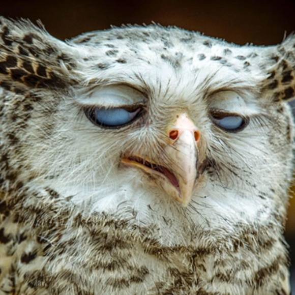 Profile Picture of Cindi Stinchcombe (@06cindi1966) on Poshmark