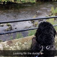 Kieran Daniel - Quora Profile Picture of Kieran Daniel (@kieran-daniel-2) on Quora