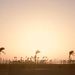 Profile Picture of Mark Terrell (@markterrell0197) on Pinterest