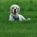 Profile Picture of Michael Holding (@michael.holding.750) on Facebook