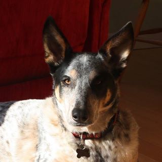 Profile Picture of Percy MontroyNakagawa (@percy.montroynakagawa) on Facebook