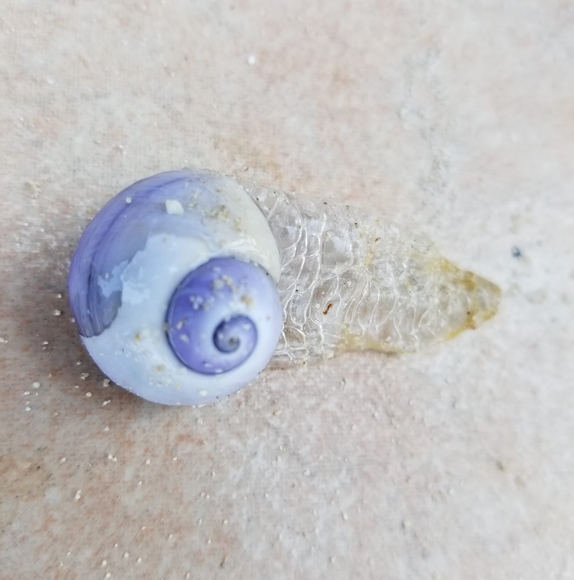 Profile Picture of Thakiya Ismael (@tismael07) on Poshmark