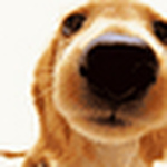 Profile Picture of Boris Randebrock (@boris michael randebrock) on Flickr