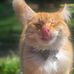 Profile Picture of Kelly West (@kelly.west.37819) on Facebook