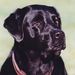 Profile Picture of Jason Terrell (@jasont0040) on Pinterest